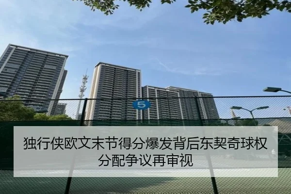独行侠欧文末节得分爆发背后东契奇球权分配争议再审视
